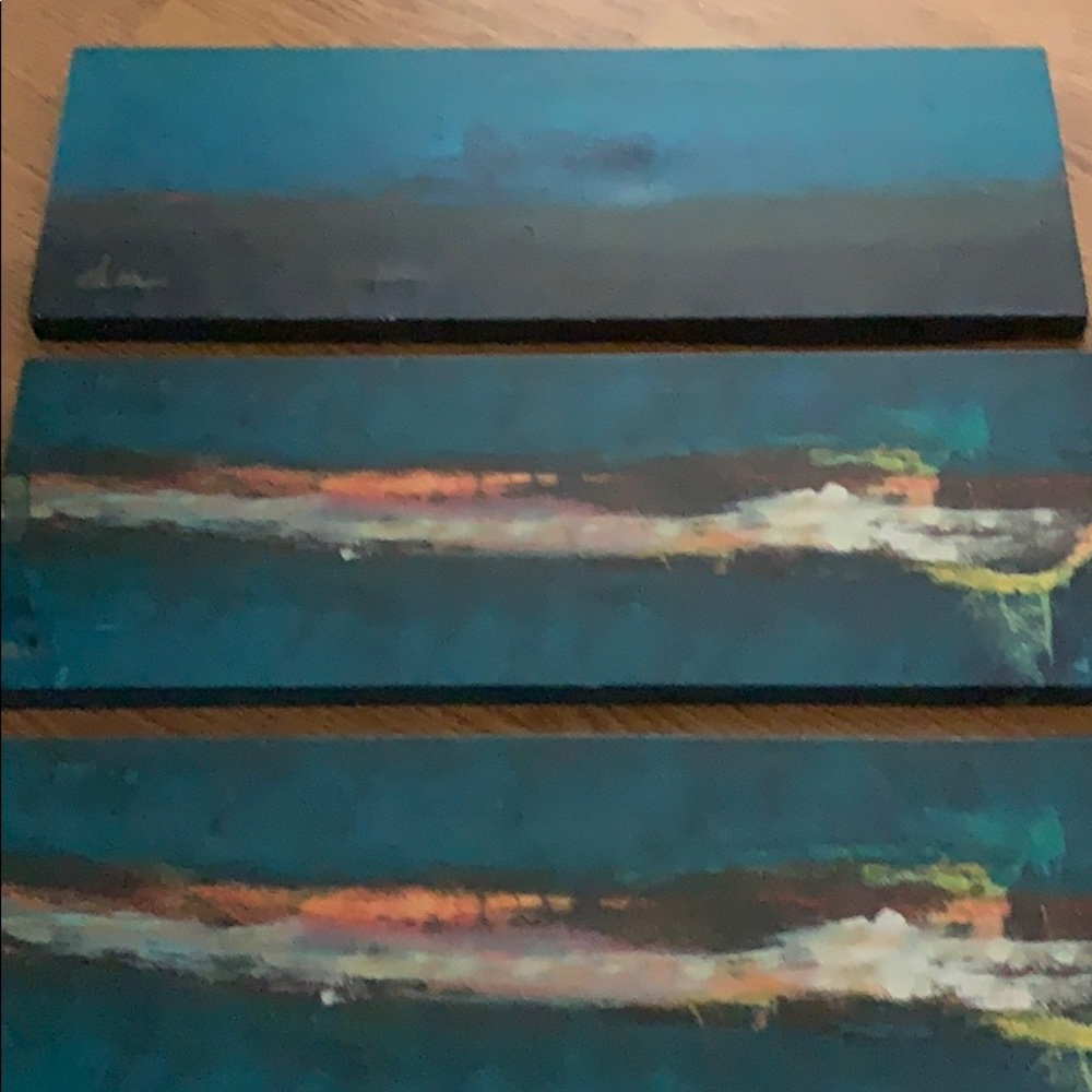 Canvas paintings set of 3